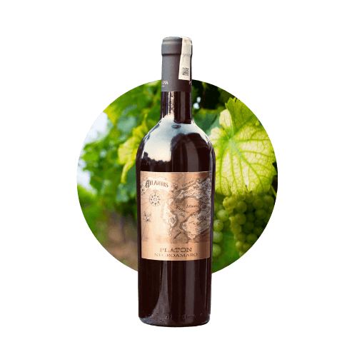 Negroamaro Salento IGP Platon - 15%