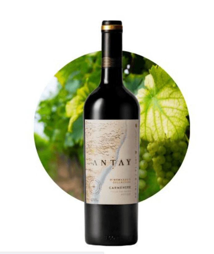 ANTAY Carmenere - 14%